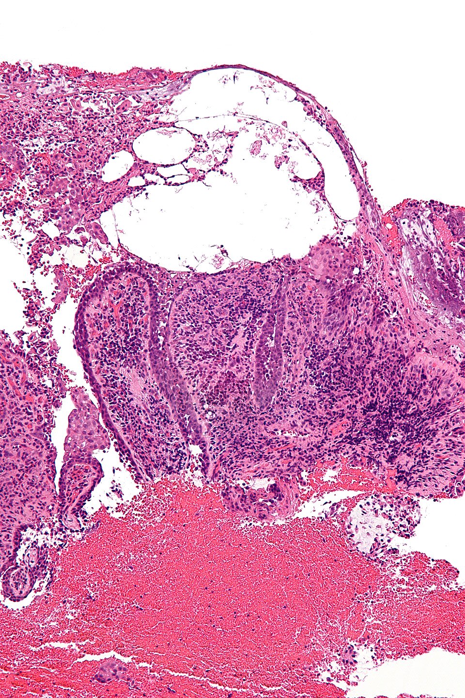 Image for question 3