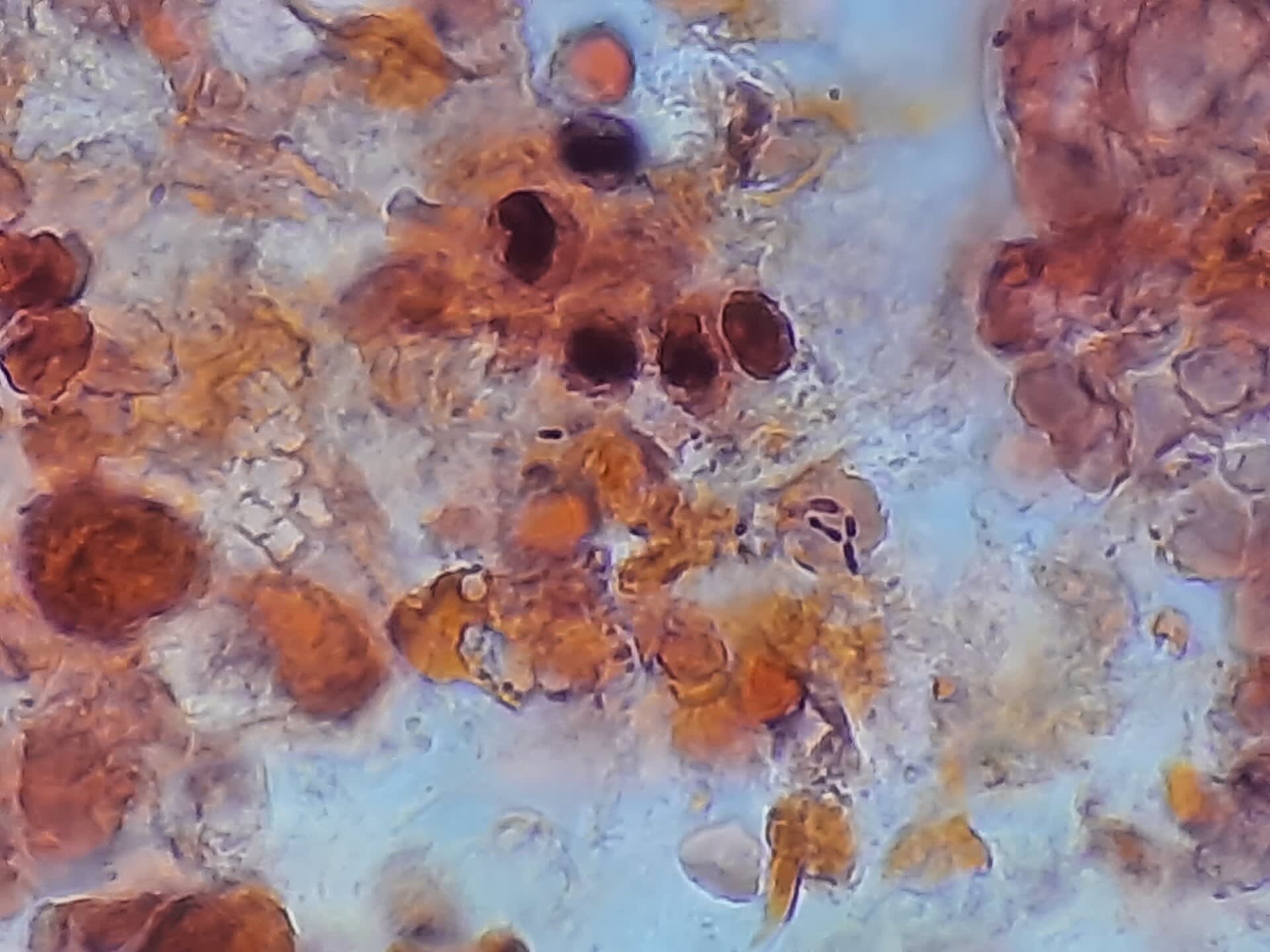 Image for question 3