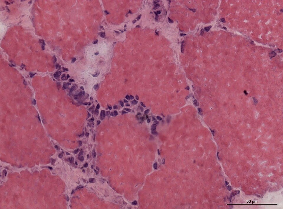 Image for question 1