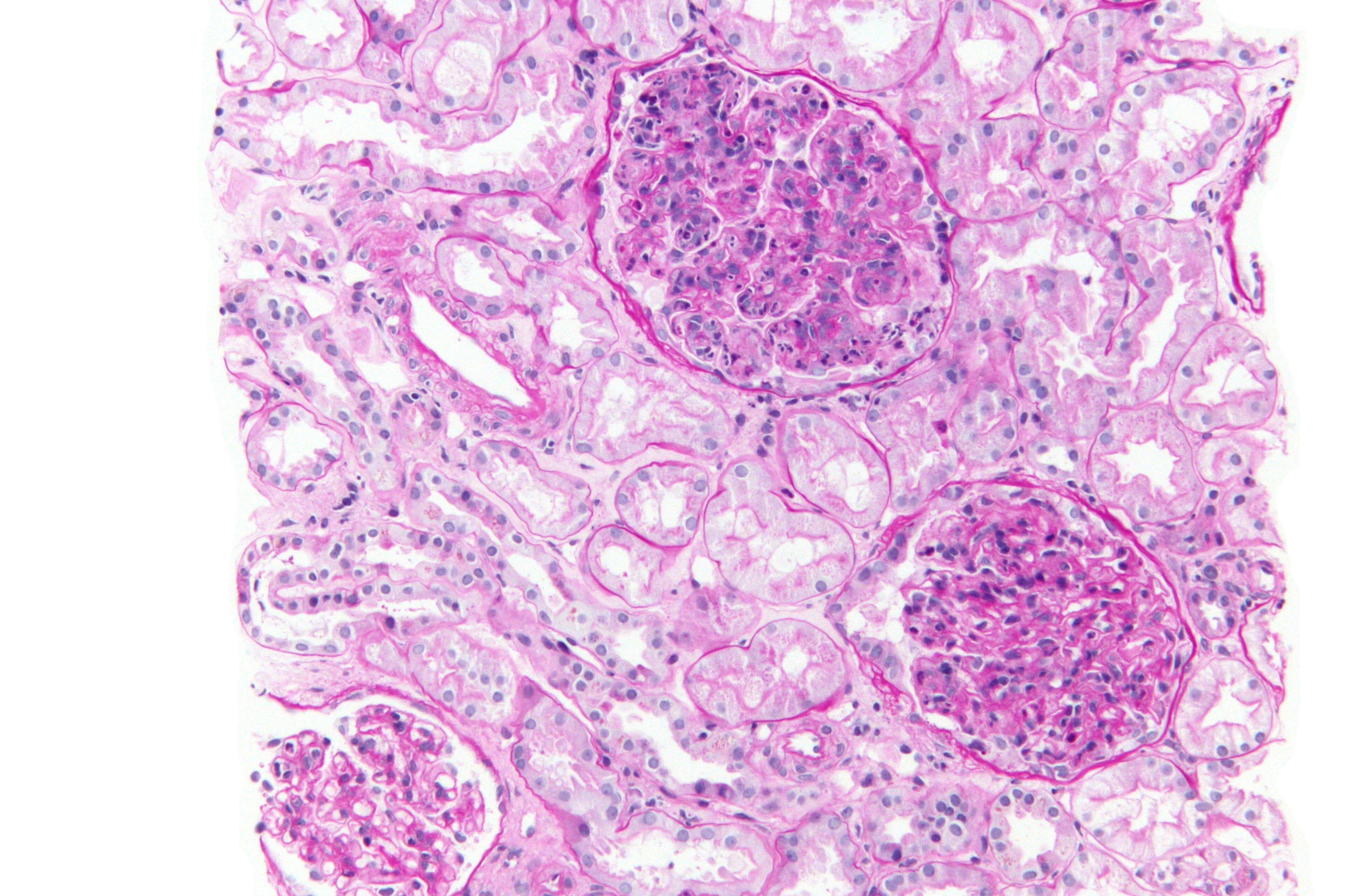 Image for question 3