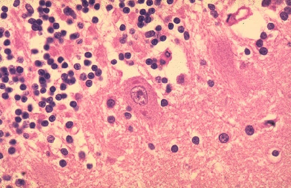 Image for question 2