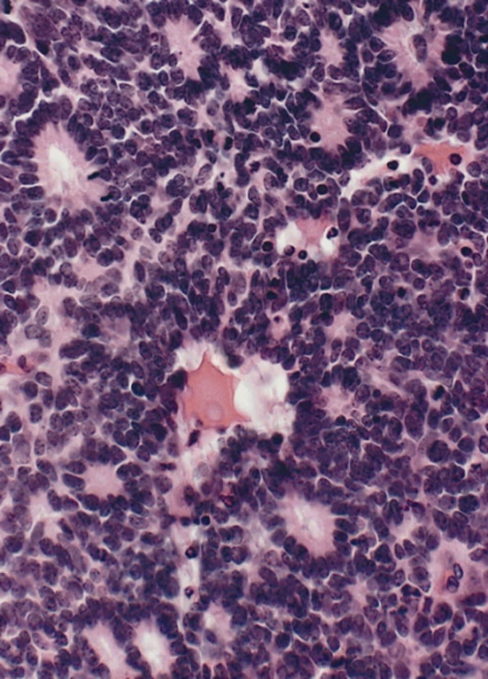 Image for question 2