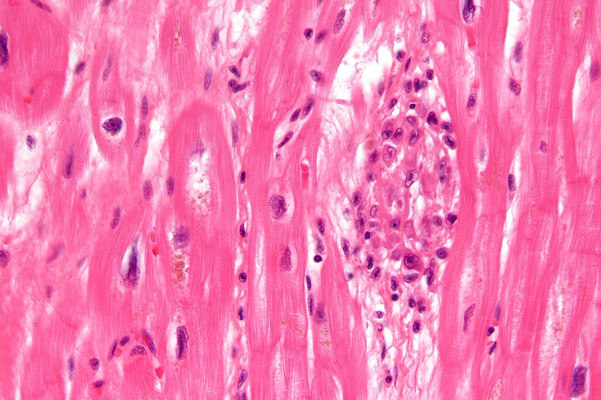 Image for question 2