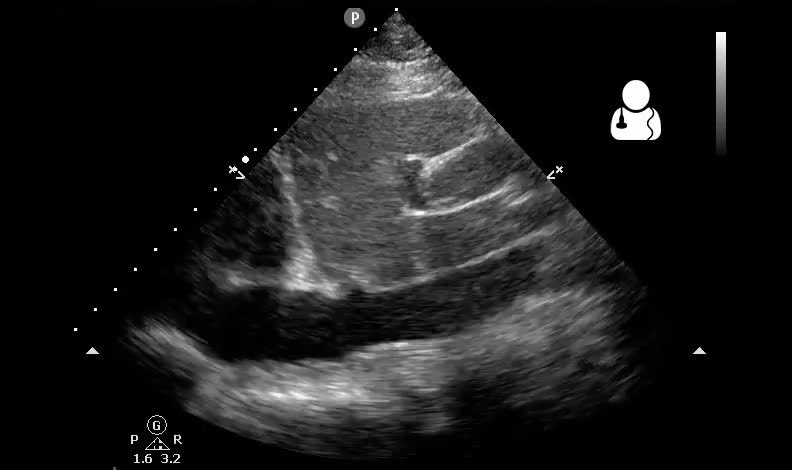 Image for question 1
