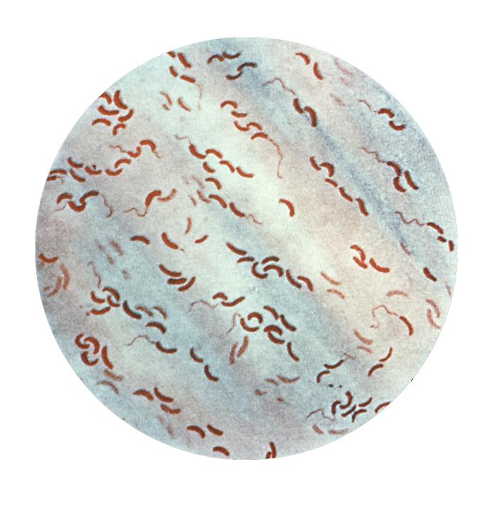 Image for question 2