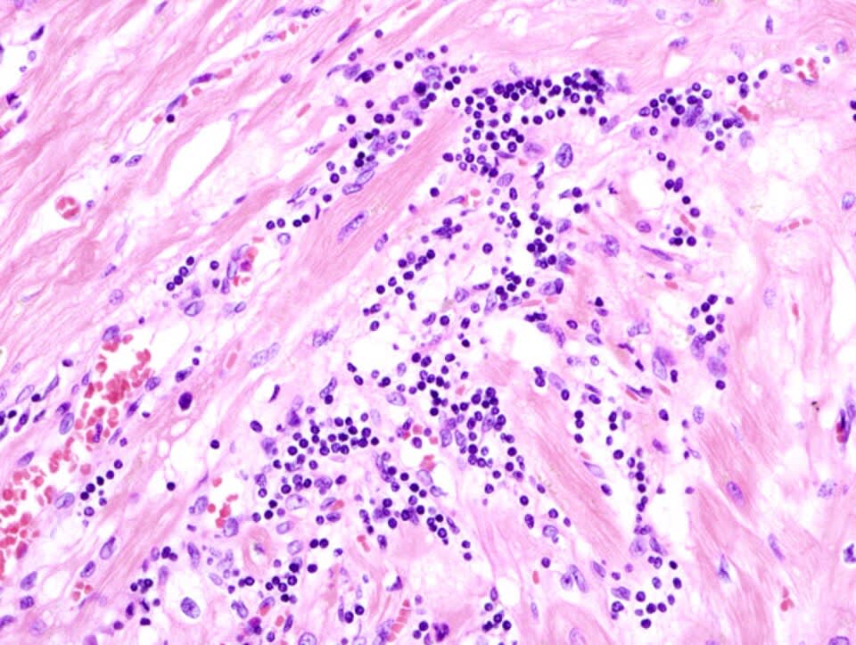 Image for question 3
