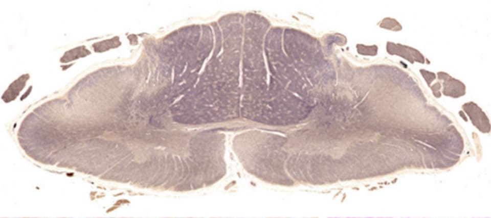 Image for question 3