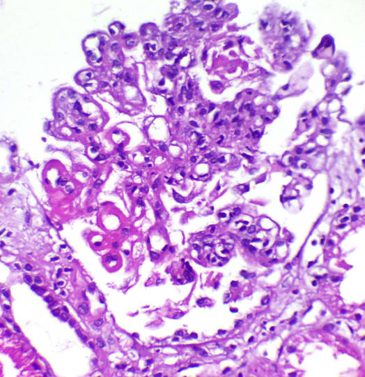 Image for question 3