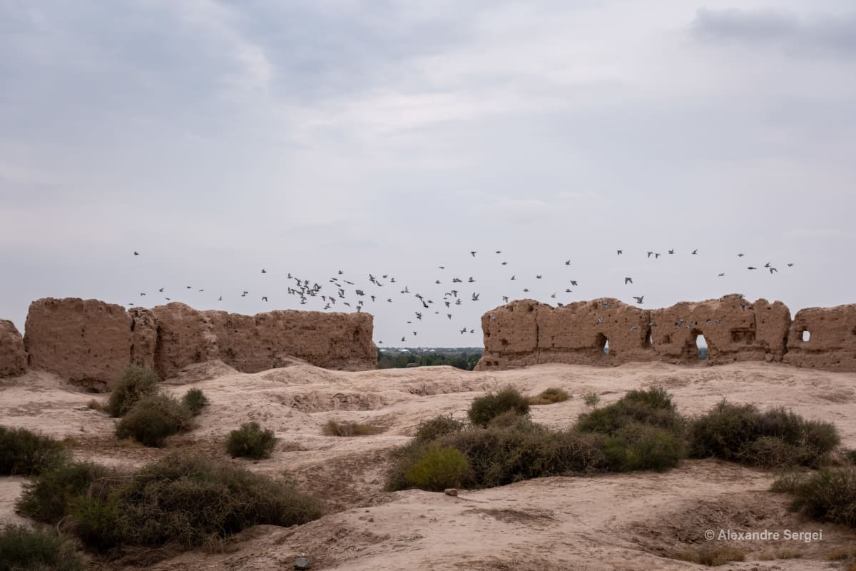 Uzbekistan