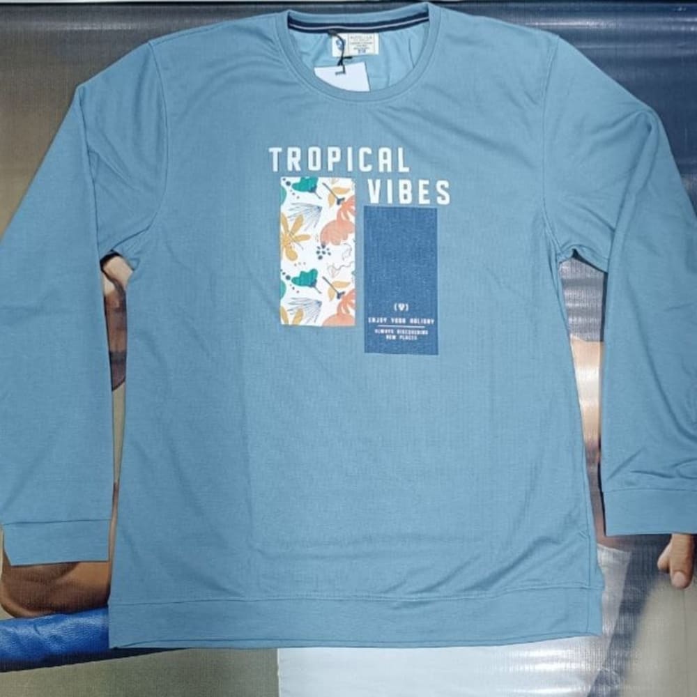  T.SHIRT ROUND NECK FUL SLEEVE BIG SIZE 3XL 4XL  3