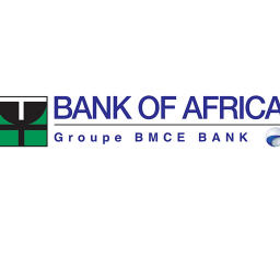 Bank of Africa Kenya Limited company logo