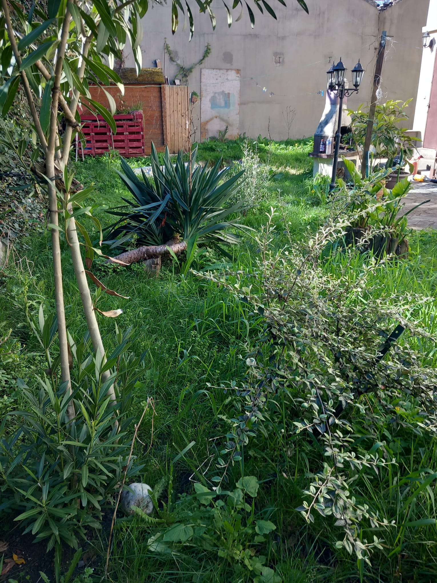 Terrain débroussaillé