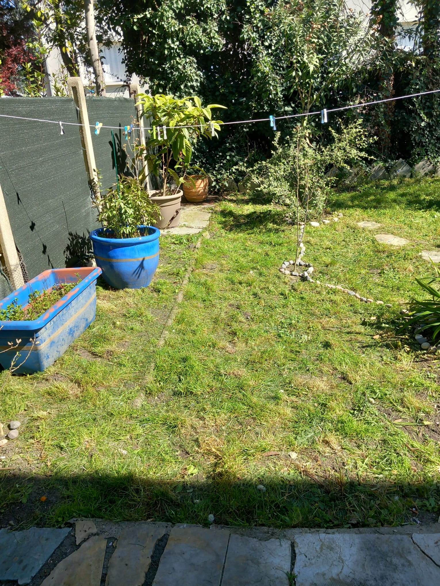 Débroussaillage complet