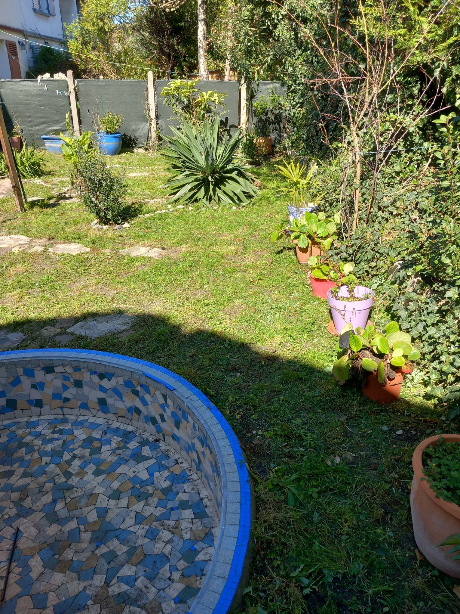 Remise au propre de jardin