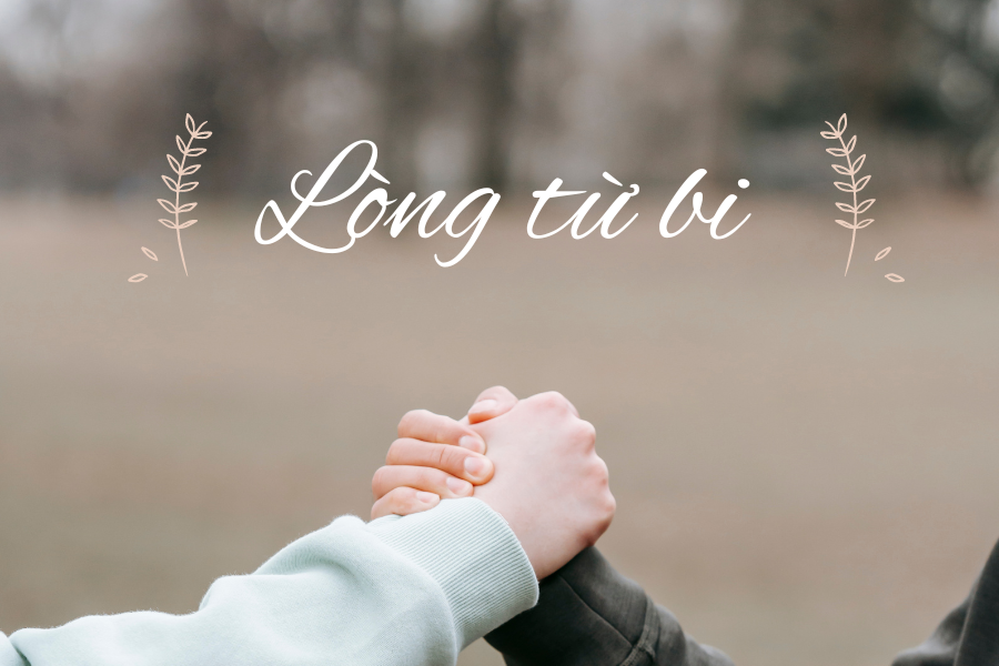 H&igrave;nh ảnh về l&ograve;ng từ bi v&agrave; sự sống