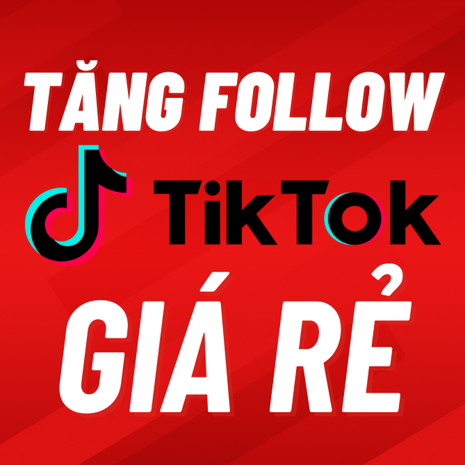 Dịch vụ tăng follow TikTok uy tín, giá rẻ và an toàn