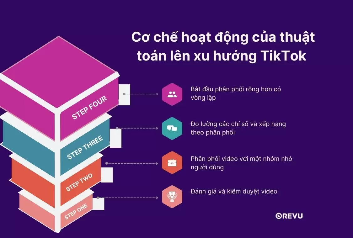 Các chỉ số tương tác quan trọng giúp video TikTok lên xu hướng