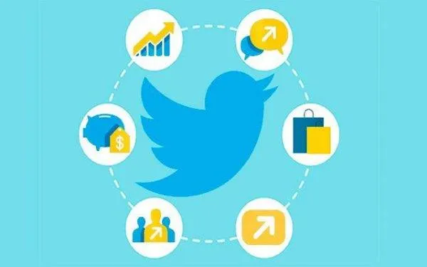 Lưu ý khi sử dụng dịch vụ seeding trên X Twitter