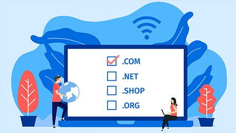 7 tiêu chí chọn tên miền cho website SMM Panel chuyên nghiệp