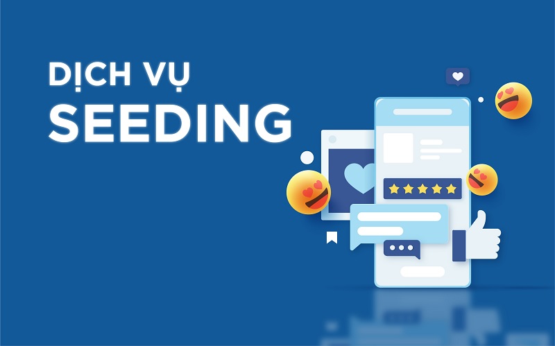 Bí quyết kết hợp seeding và nội dung sáng tạo để bùng nổ doanh số