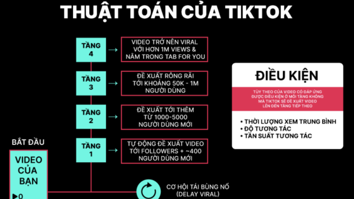 Cách thuật toán TikTok đánh giá tương tác và phân phối video cho người dùng