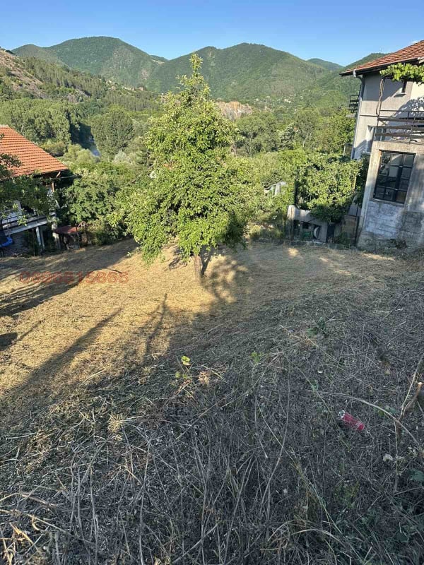 750m² Парцел в Владо Тричков — снимка 3