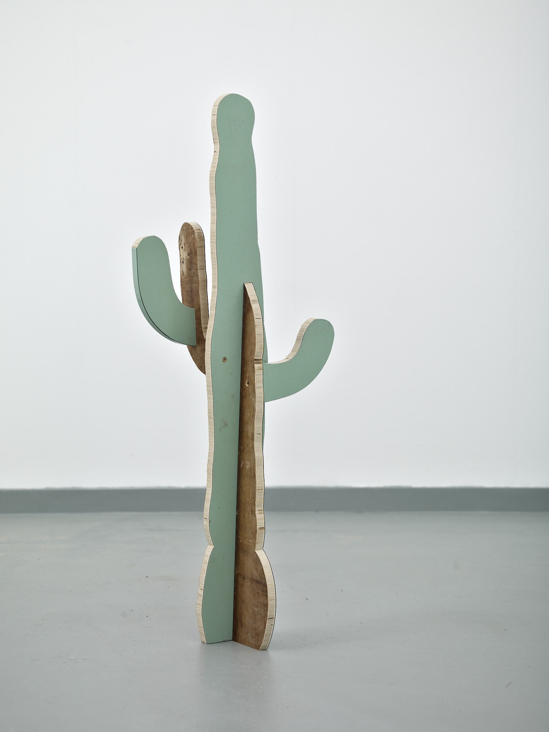 Paul Merrick, Cactus (Saguaro), 2014