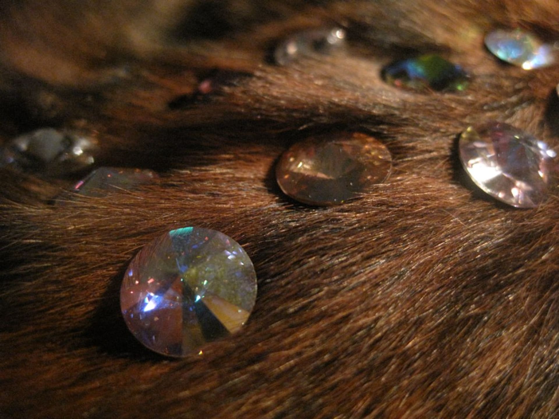 Sophie Lisa Beresford, Untitled, 2011