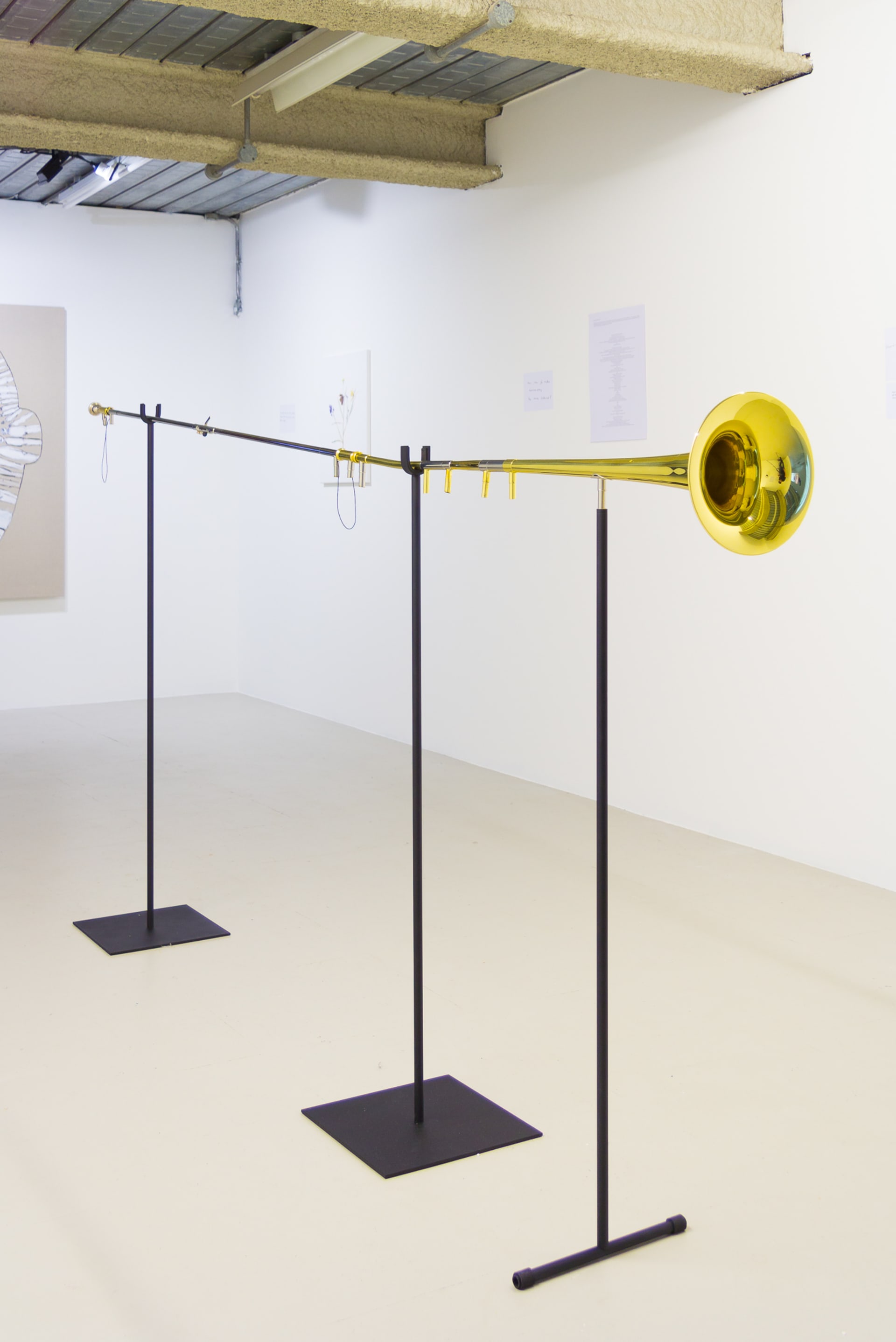 Installation images of Marcus Coates at Workplace | London