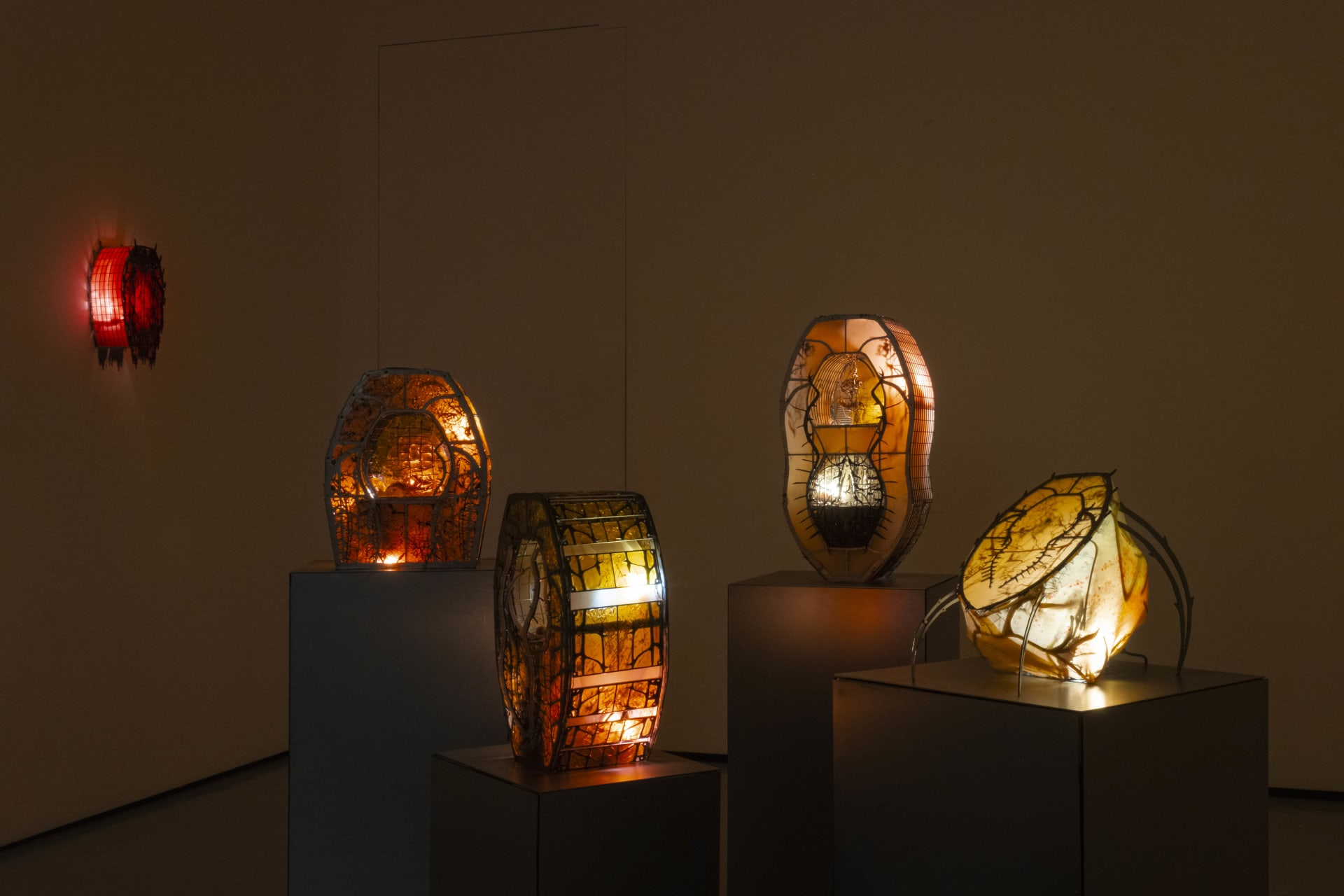 Installation photographs of Hazel Brill's exhibition 'Amber' at Workplace London