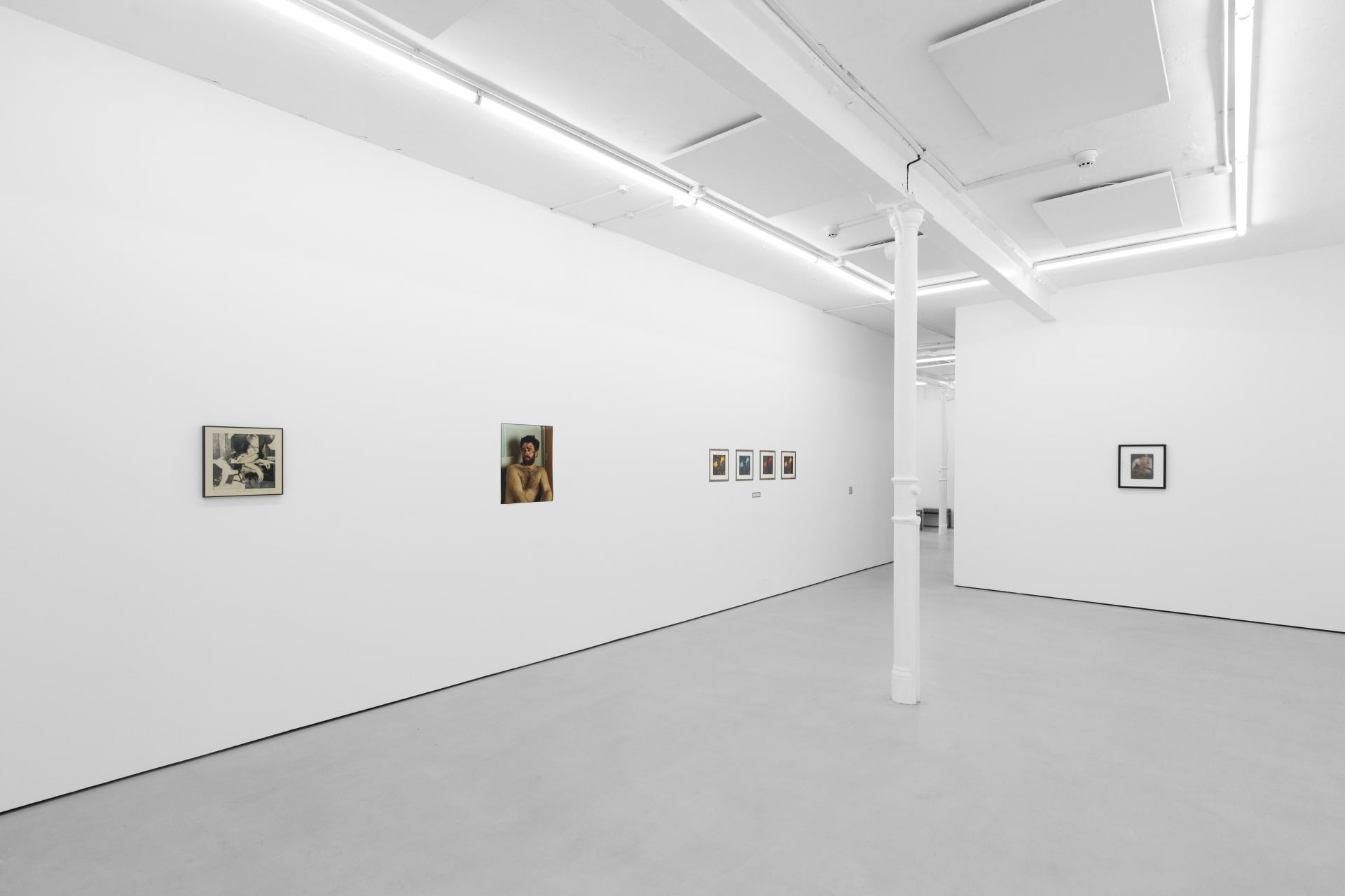 installation photos of 'Still Moving' at Workplace | Newcastle