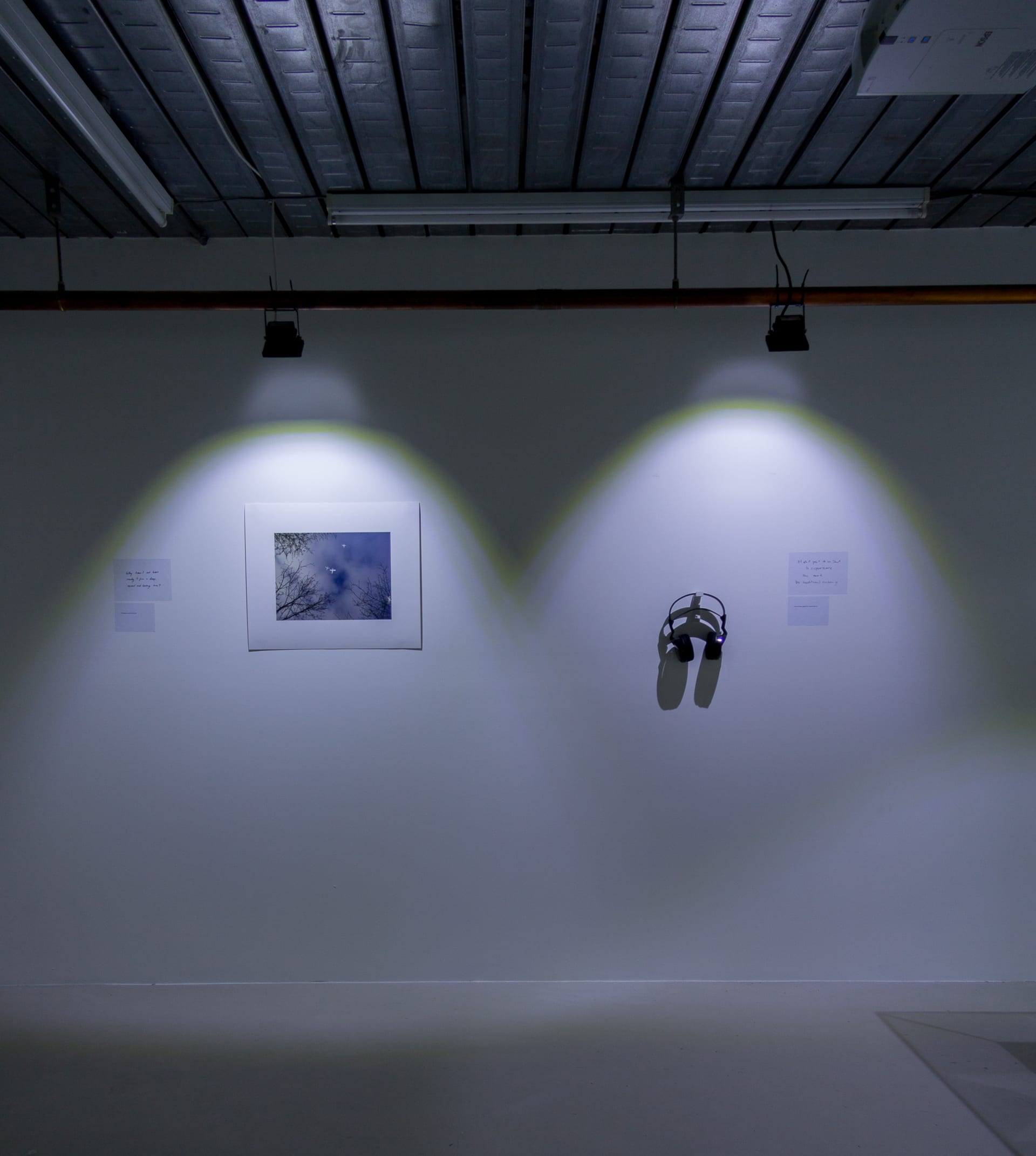 Installation images of Marcus Coates at Workplace | London