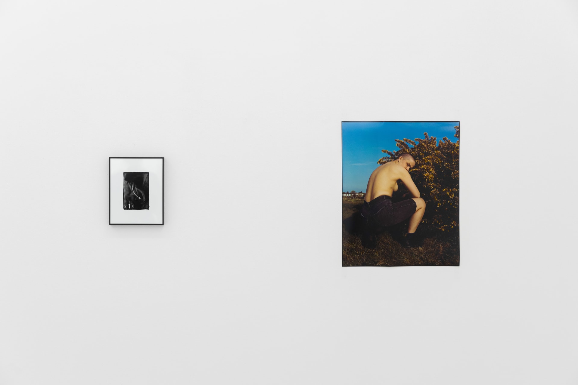 installation photos of 'Still Moving' at Workplace | Newcastle