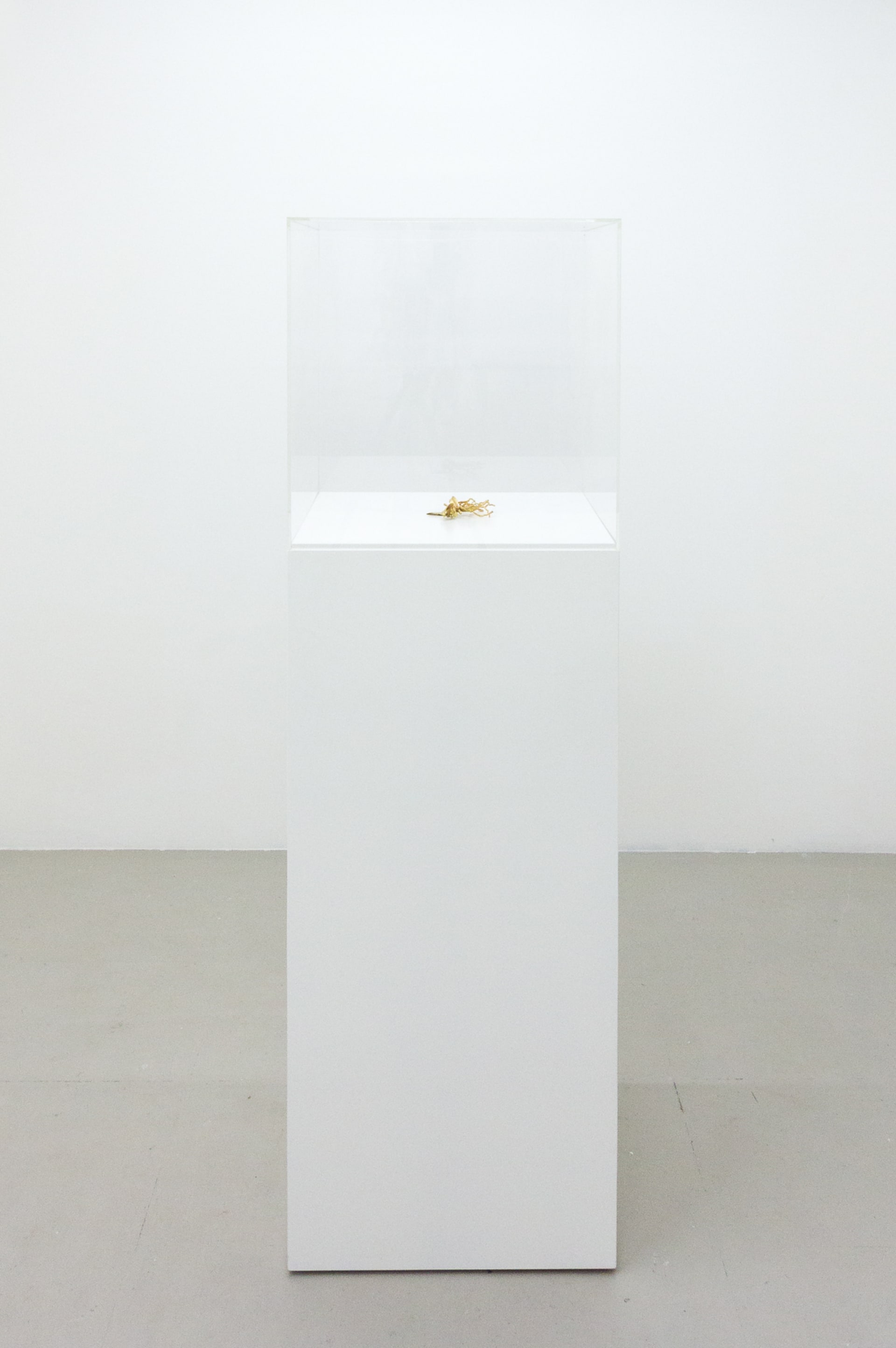 Installation documentation of Jo Coupe: All That Fall / Joseph Beuys: Wirtschaftswert at Workplace | London