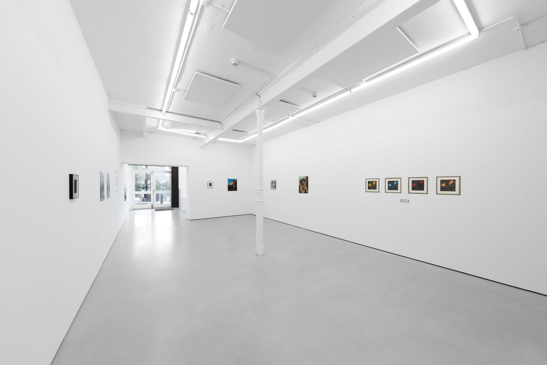 installation photos of 'Still Moving' at Workplace | Newcastle