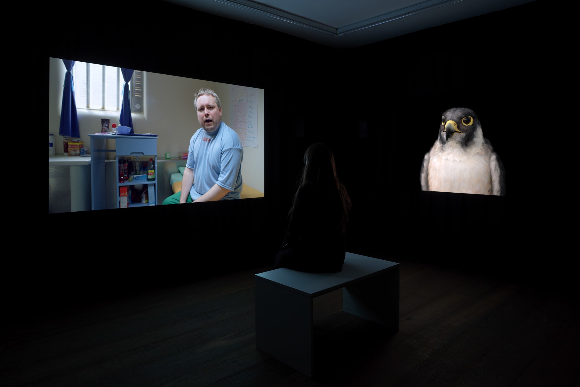 Installation photographs of Matt Stokes' exhibition 'This Liberty' at Workplace | London