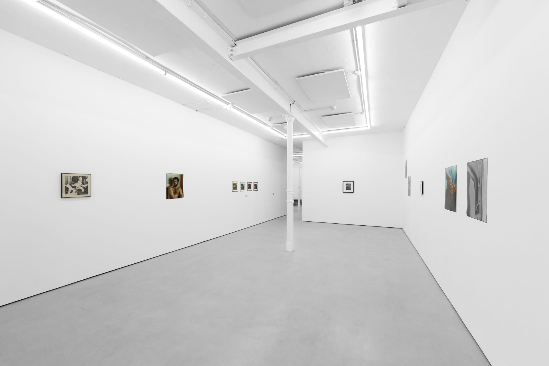 installation photos of 'Still Moving' at Workplace | Newcastle