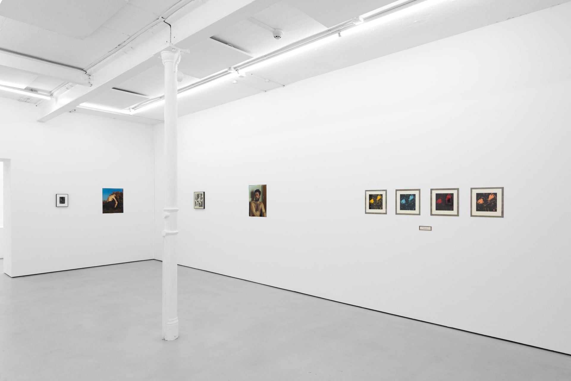 installation photos of 'Still Moving' at Workplace | Newcastle