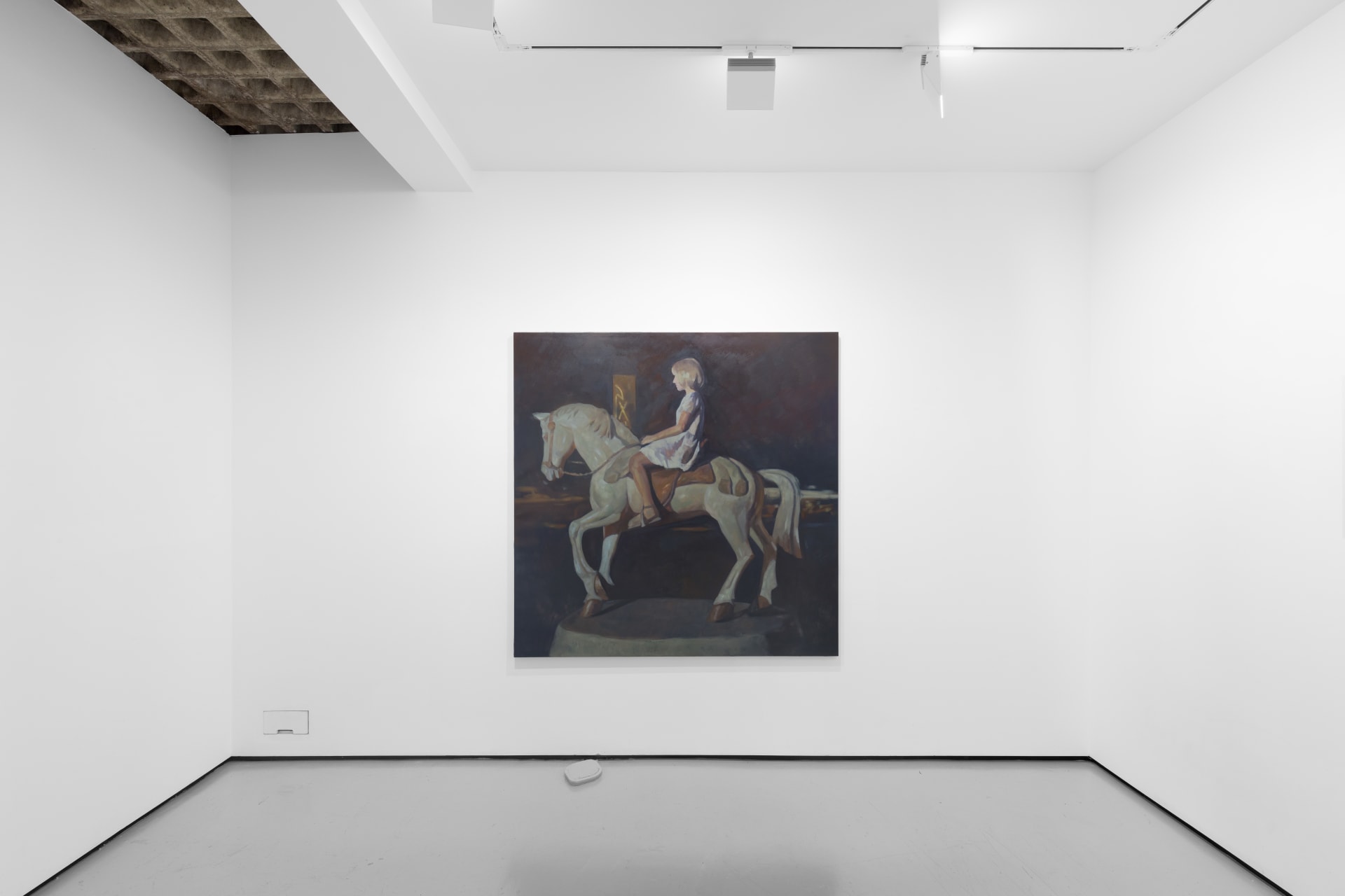 Instalation view of Wang Pei's paintings oin a white walled gallery space