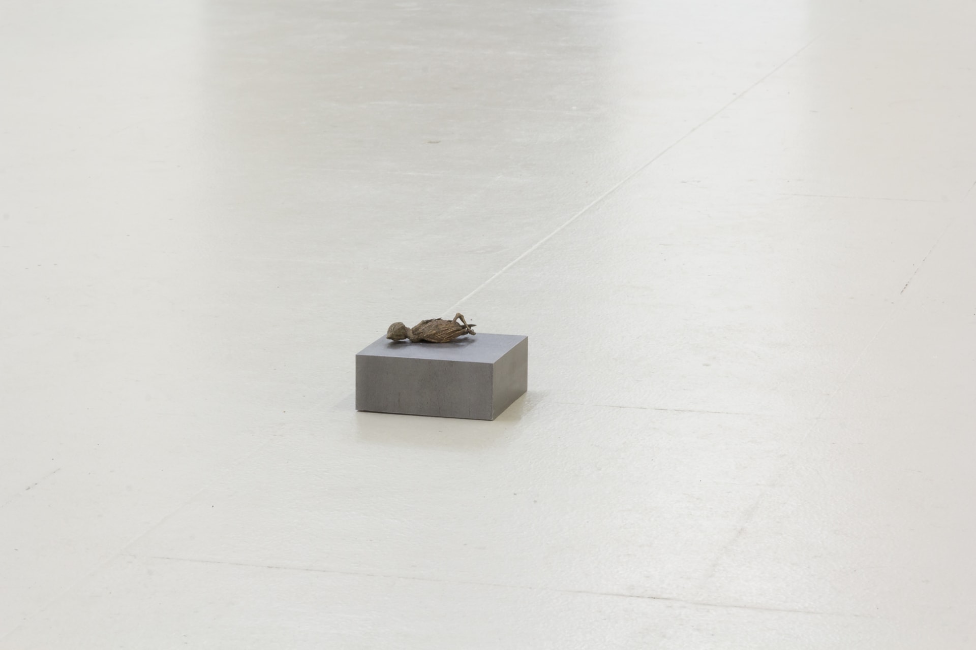 Installation documentation of Jo Coupe: All That Fall / Joseph Beuys: Wirtschaftswert at Workplace | London