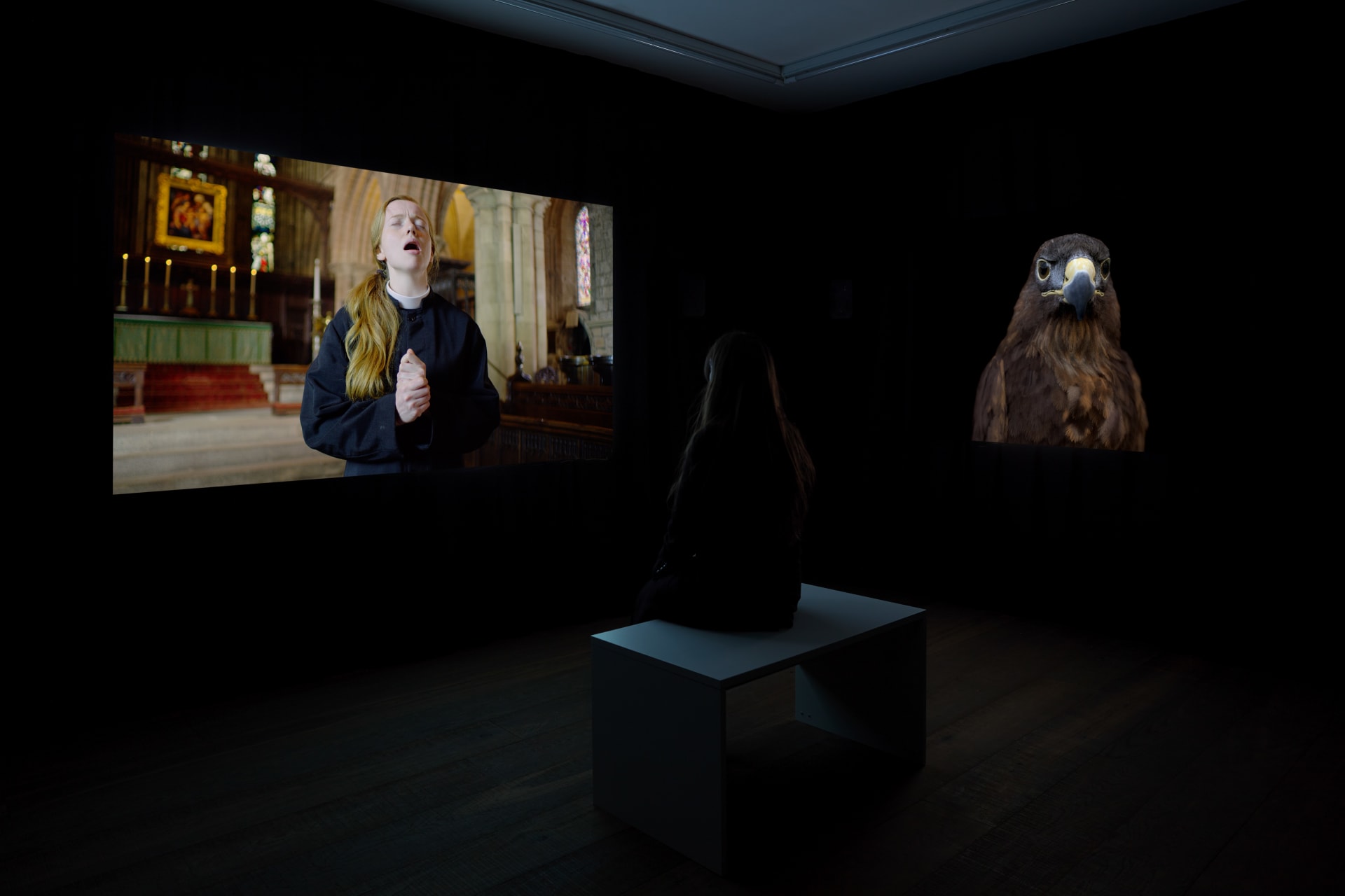 Installation photographs of Matt Stokes' exhibition 'This Liberty' at Workplace | London