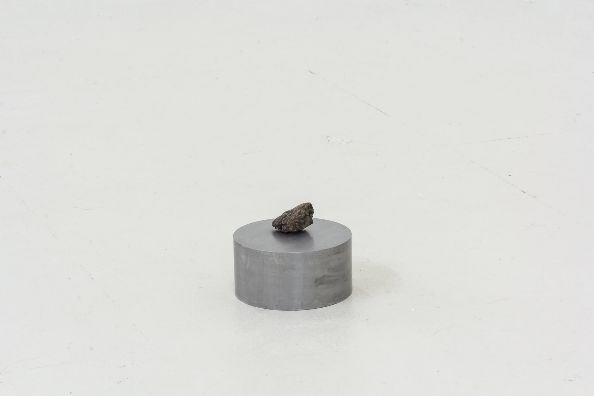 Installation documentation of Jo Coupe: All That Fall / Joseph Beuys: Wirtschaftswert at Workplace | London