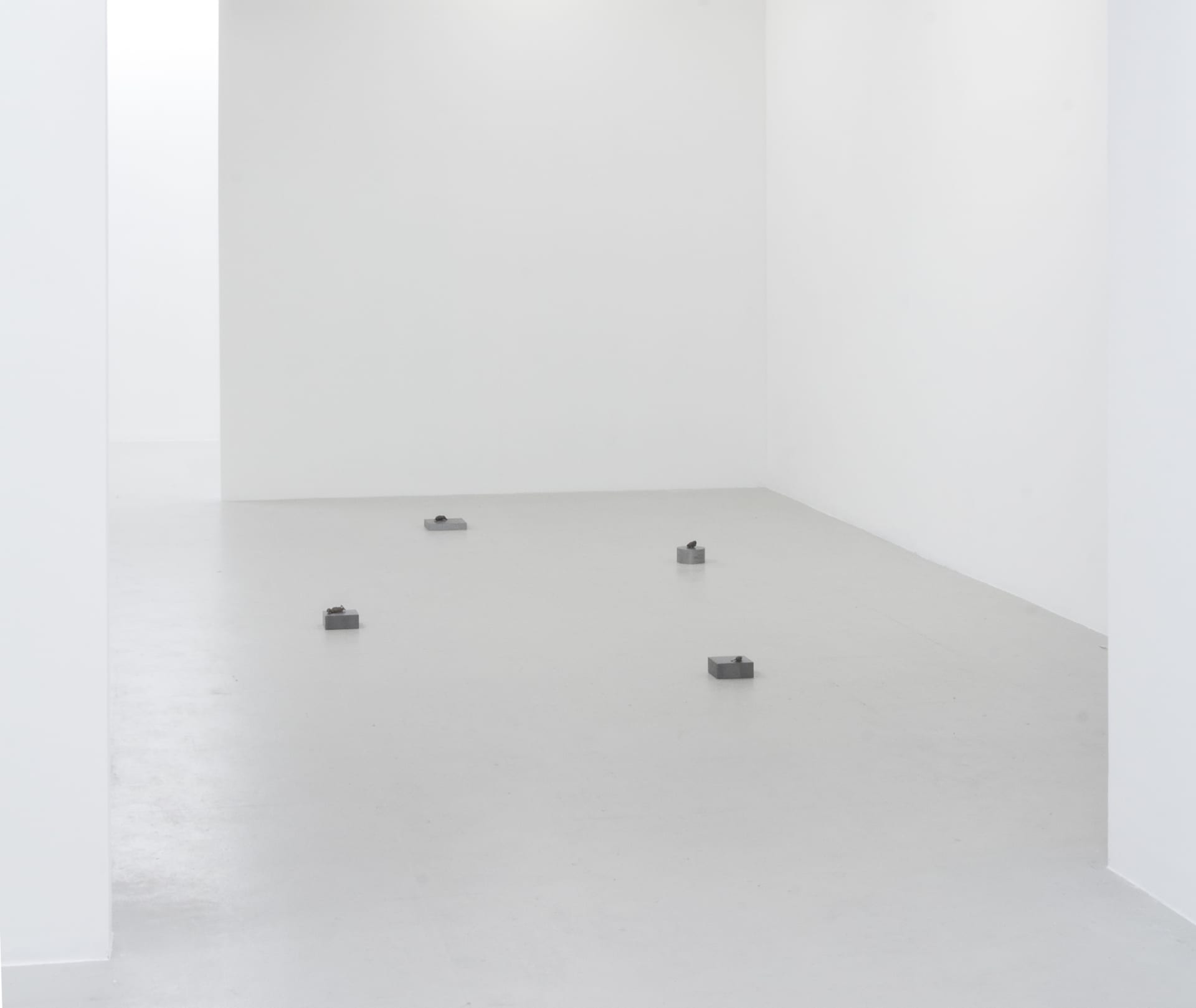 Installation documentation of Jo Coupe: All That Fall / Joseph Beuys: Wirtschaftswert at Workplace | London