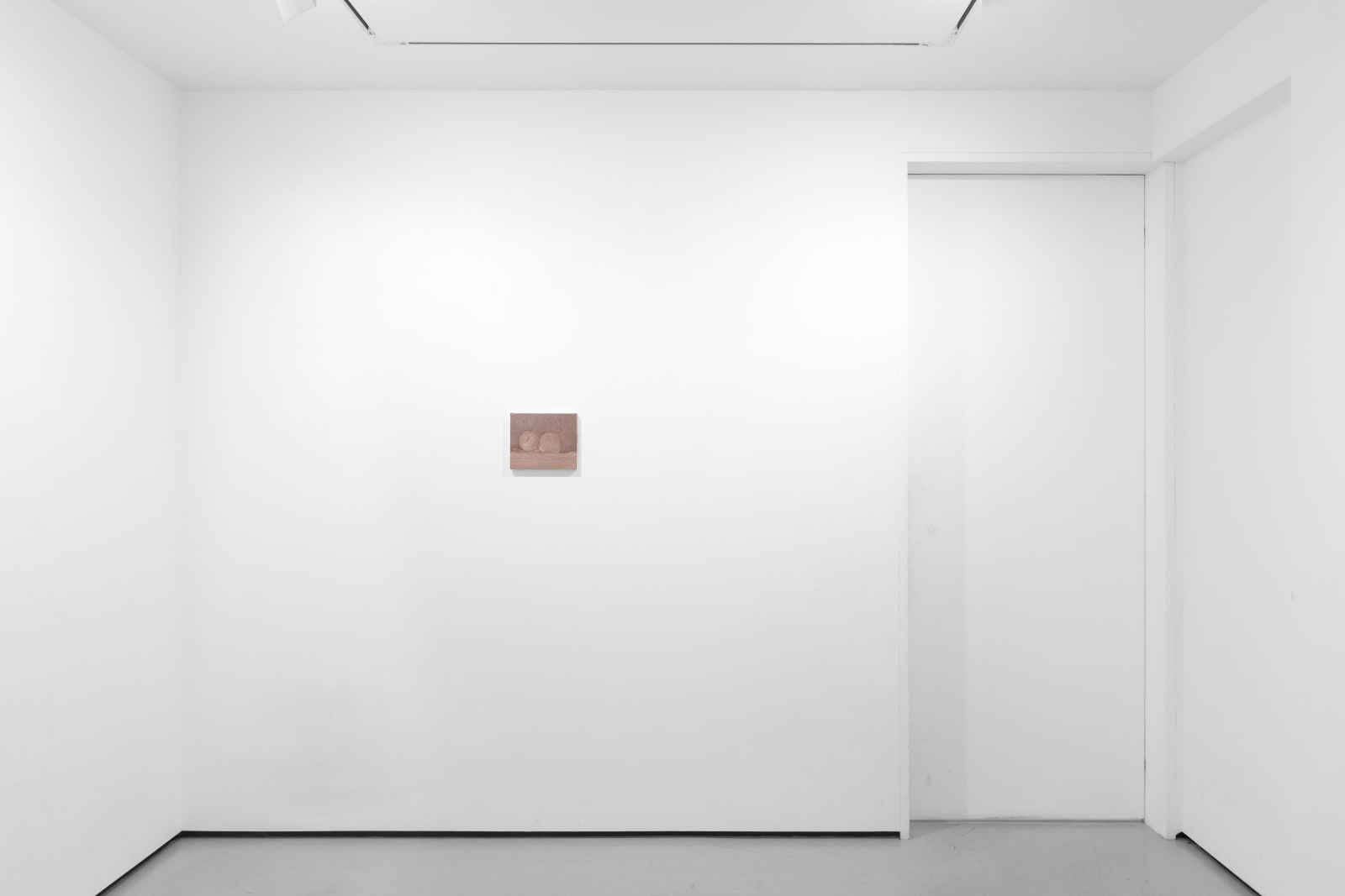 Installation view of Focus: Marta Ravasi