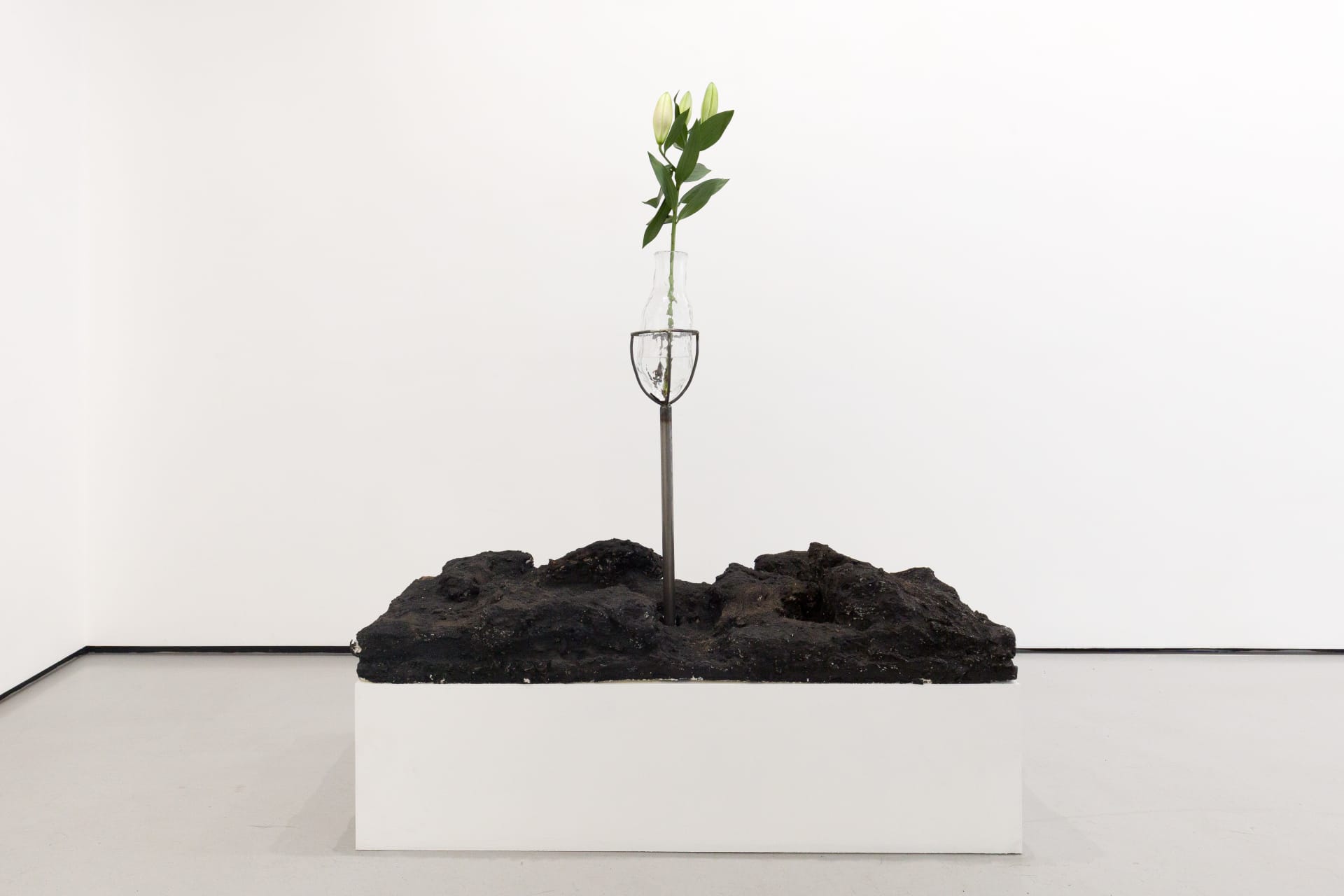 Blown glass vessels with lily flowers are held by metal structures above volcanic rock-like strata in this sculpture by Emii Alrai