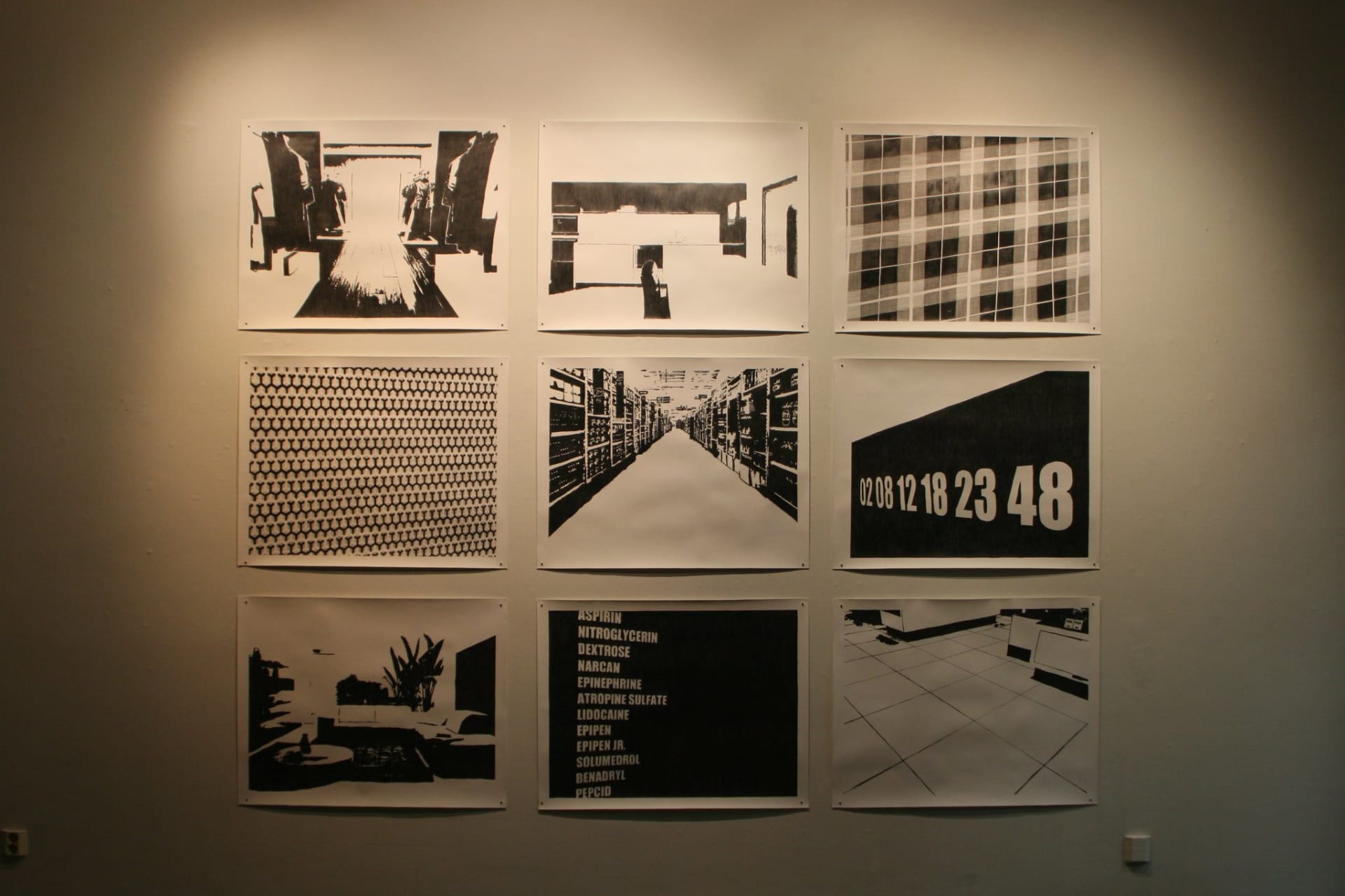 Cecilia Stenbom, Nobody gets out of here alive, 2013