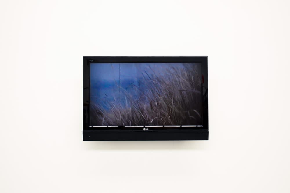 Darren Banks, I'm sure if there were a monster in the midlands we would have seen it on the telly, 2011