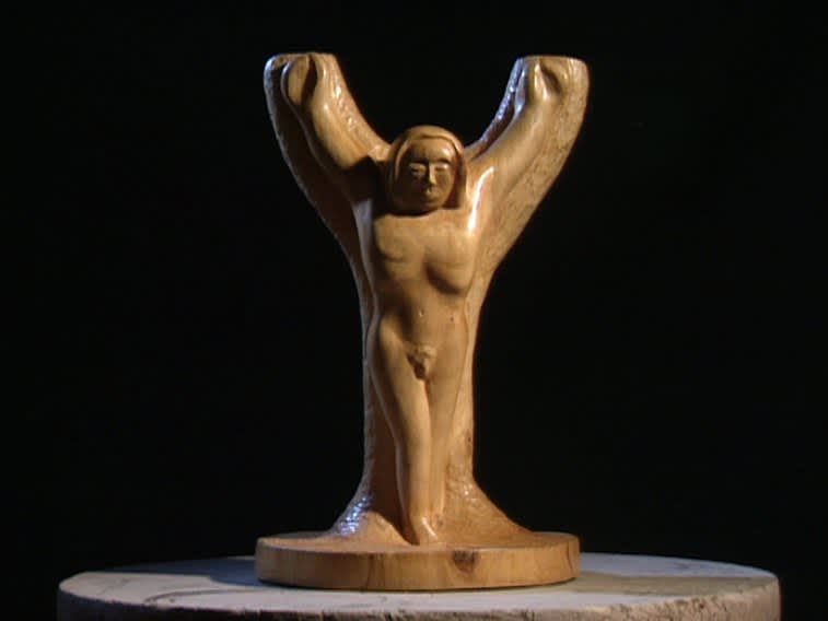 Darren Banks, Slow Spin, 2013