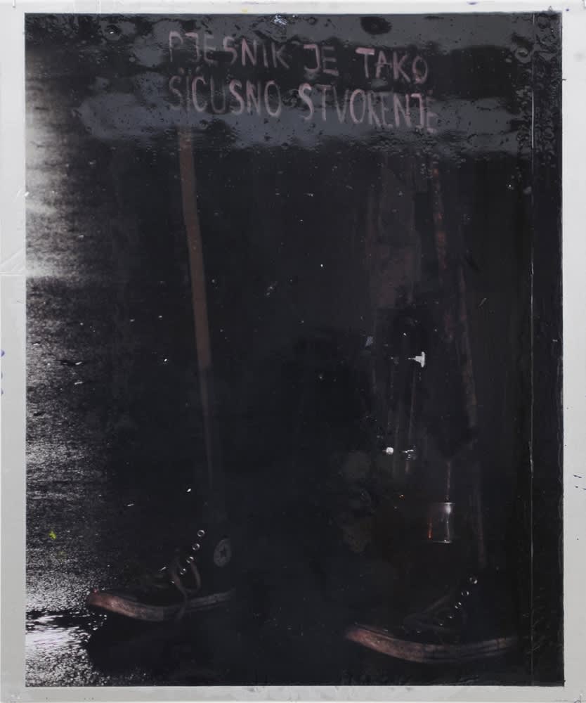 Hugo Canoilas, A poet is a minuscule thing, 2014