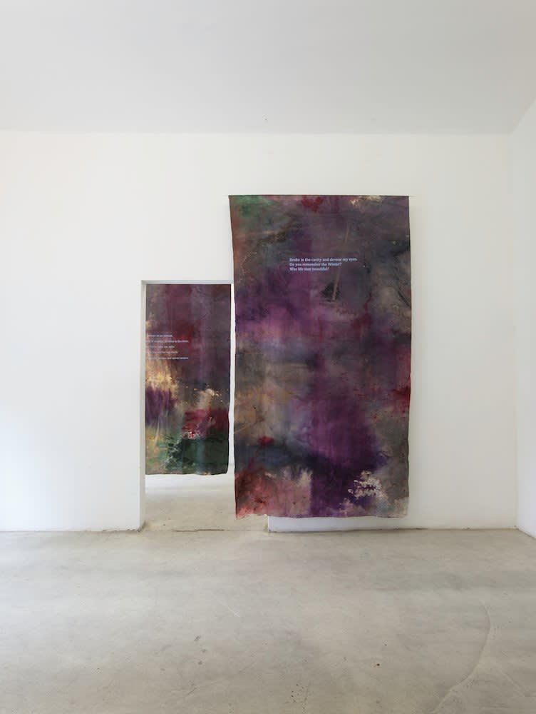 Hugo Canoilas, Spirit of the air, 2013